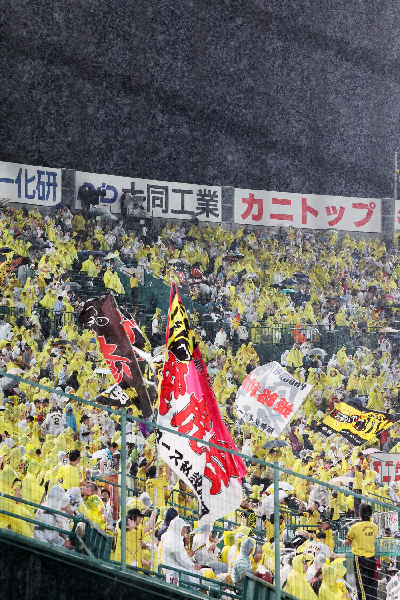 阪神対DeNA 5回裏を前に降雨中断となり雨の中応援歌を演奏する阪神応援団（撮影・加藤哉）