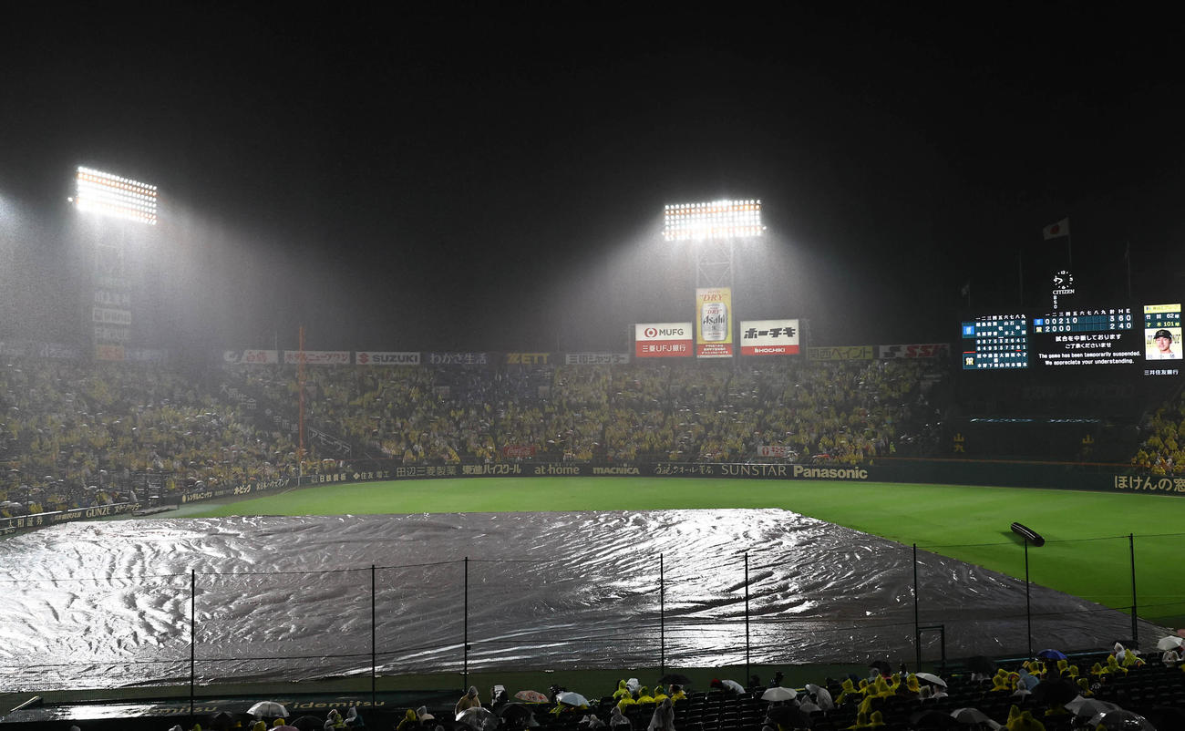 阪神対DeNA　突然の雨で内野にシートが掛けられ中断となる（撮影・上田博志）