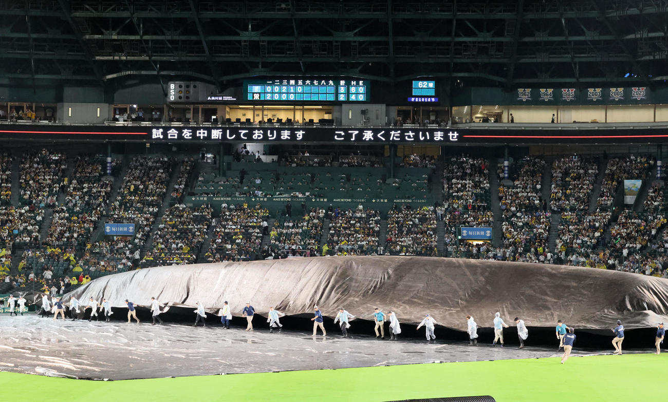 阪神対DeNA　グラウンドにかけられているシートをはずす係員（撮影・加藤哉）