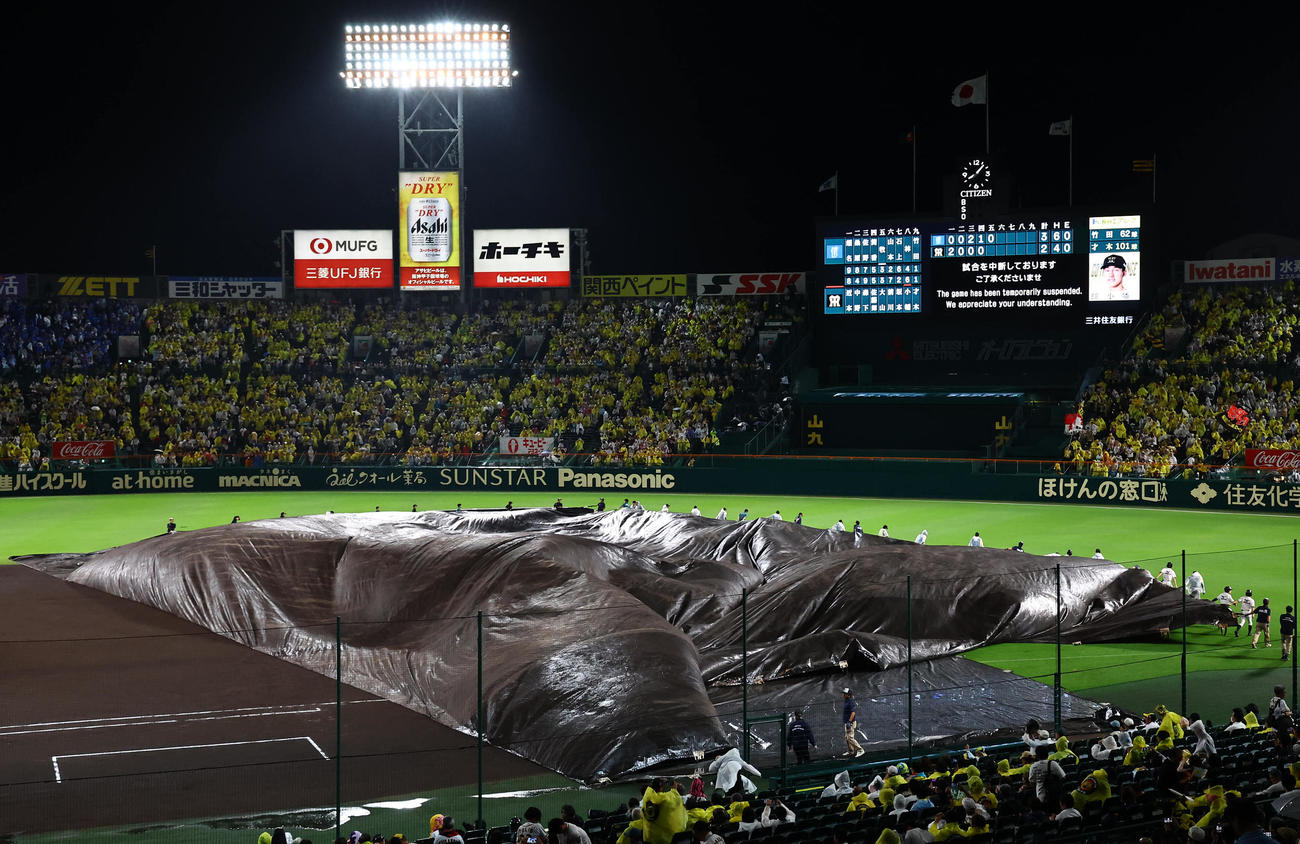 阪神対DeNA　雨が弱くなり畳まれる内野のシート（撮影・上田博志）