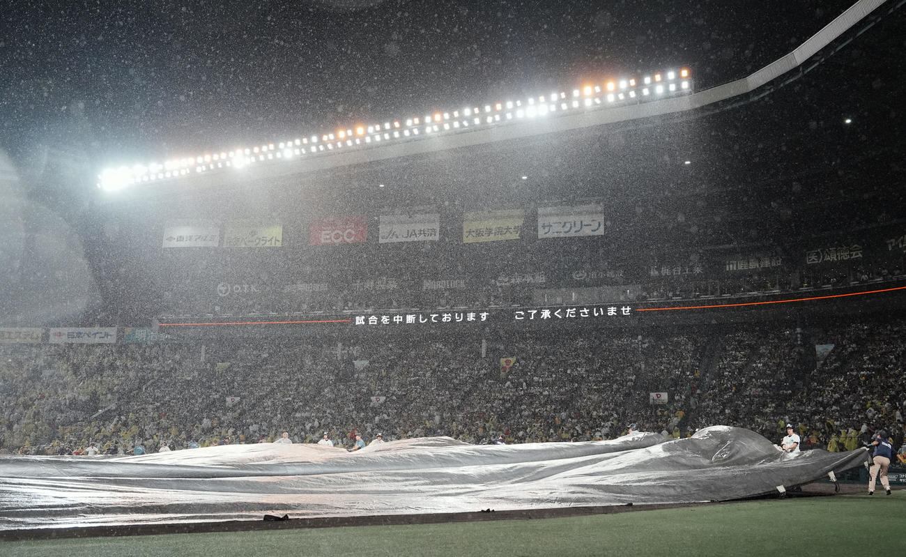阪神対DeNA　降雨のため一時中断となった阪神対DeNA戦（撮影・たえ見朱実）