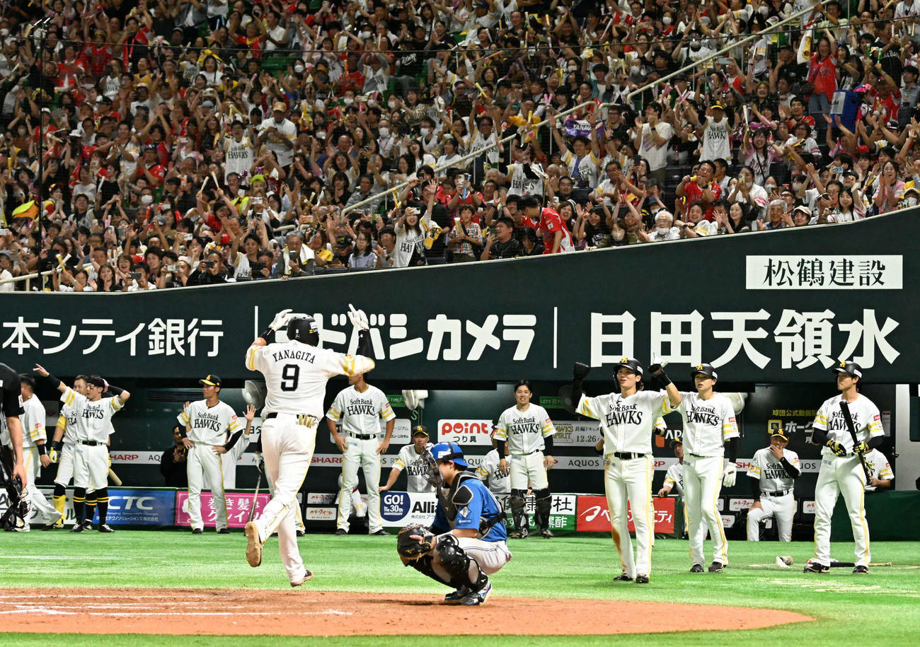 ソフトバンク対日本ハム　8回裏ソフトバンク1死一、二塁、柳田の先制本塁打に歓喜するソフトバンクナイン（撮影・林敢治）
