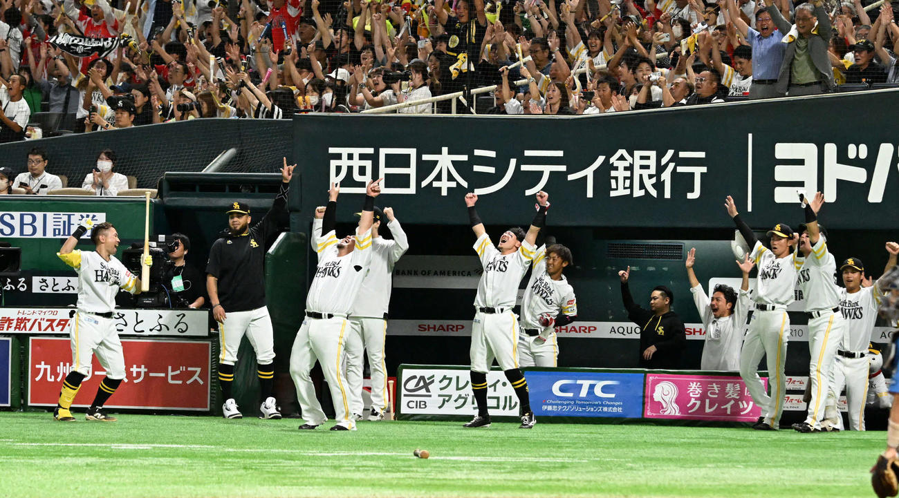 ソフトバンク対日本ハム　8回裏ソフトバンク1死一、二塁、柳田の先制本塁打に歓喜するソフトバンクナイン（撮影・林敢治）