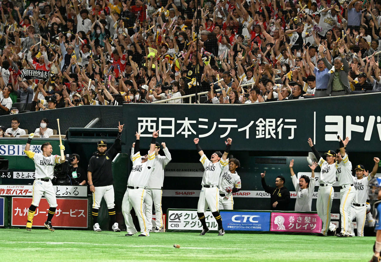 ソフトバンク対日本ハム　8回裏ソフトバンク1死一、二塁、柳田の先制本塁打に歓喜するソフトバンクナイン（撮影・林敢治）
