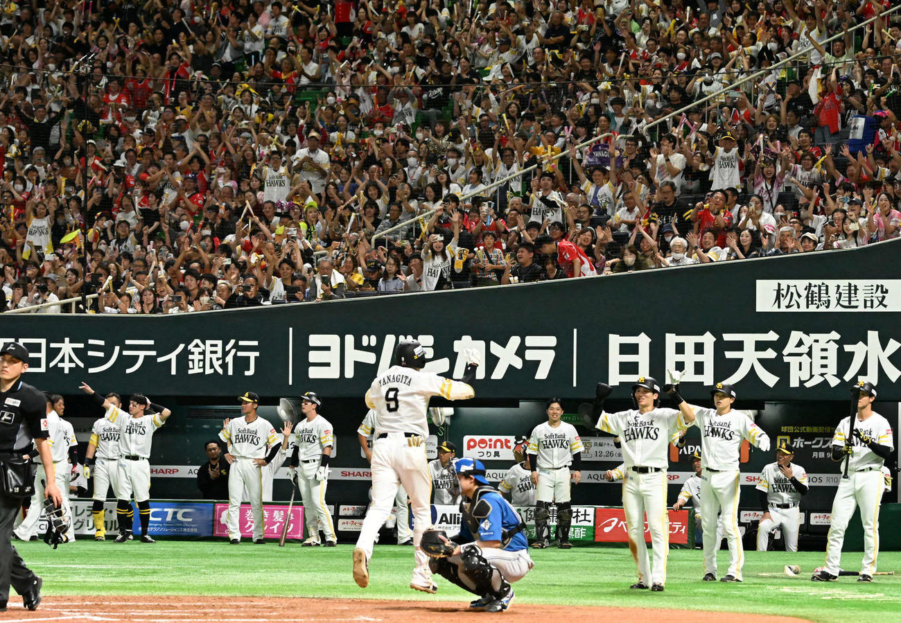 ソフトバンク対日本ハム　8回裏ソフトバンク1死一、二塁、柳田の先制本塁打に歓喜するソフトバンクナイン（撮影・林敢治）