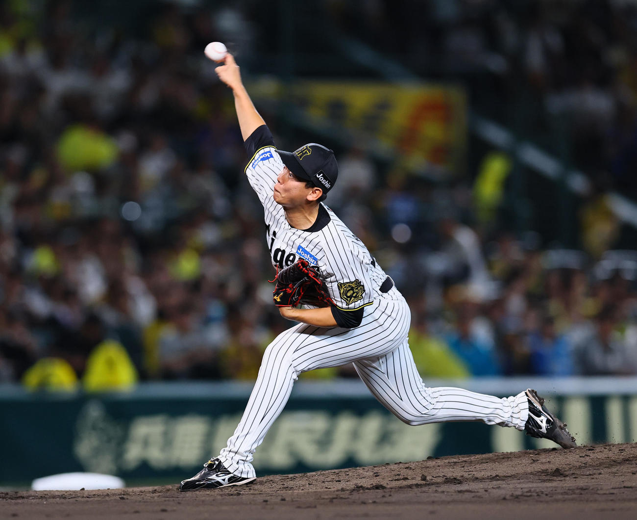 阪神対DeNA 6回、2番手で登板した阪神畠（撮影・藤尾明華）