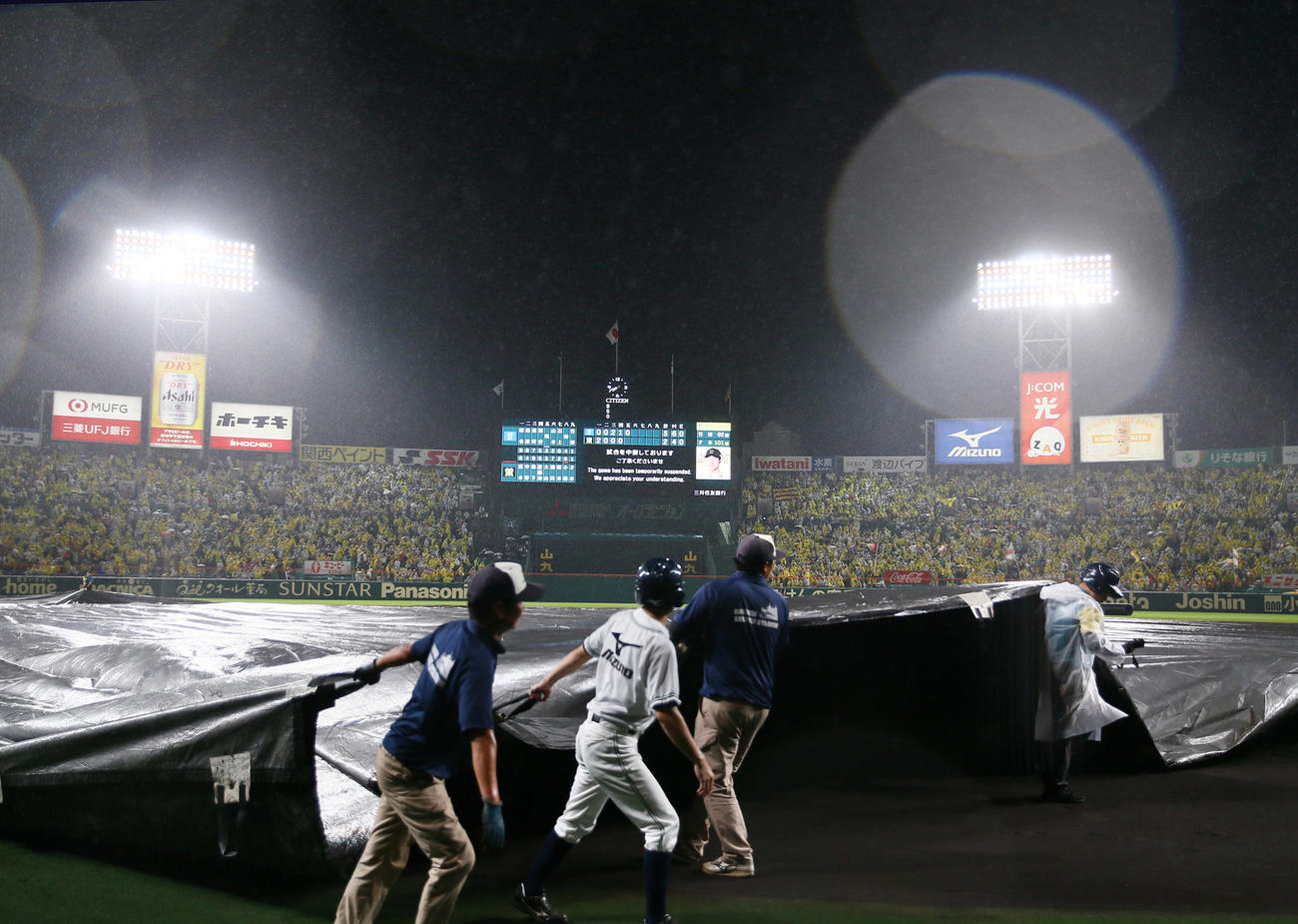 阪神対DeNA　雨が強くなりグラウンドシートをかぶせる阪神園芸の職員たち（撮影・上山淳一）
