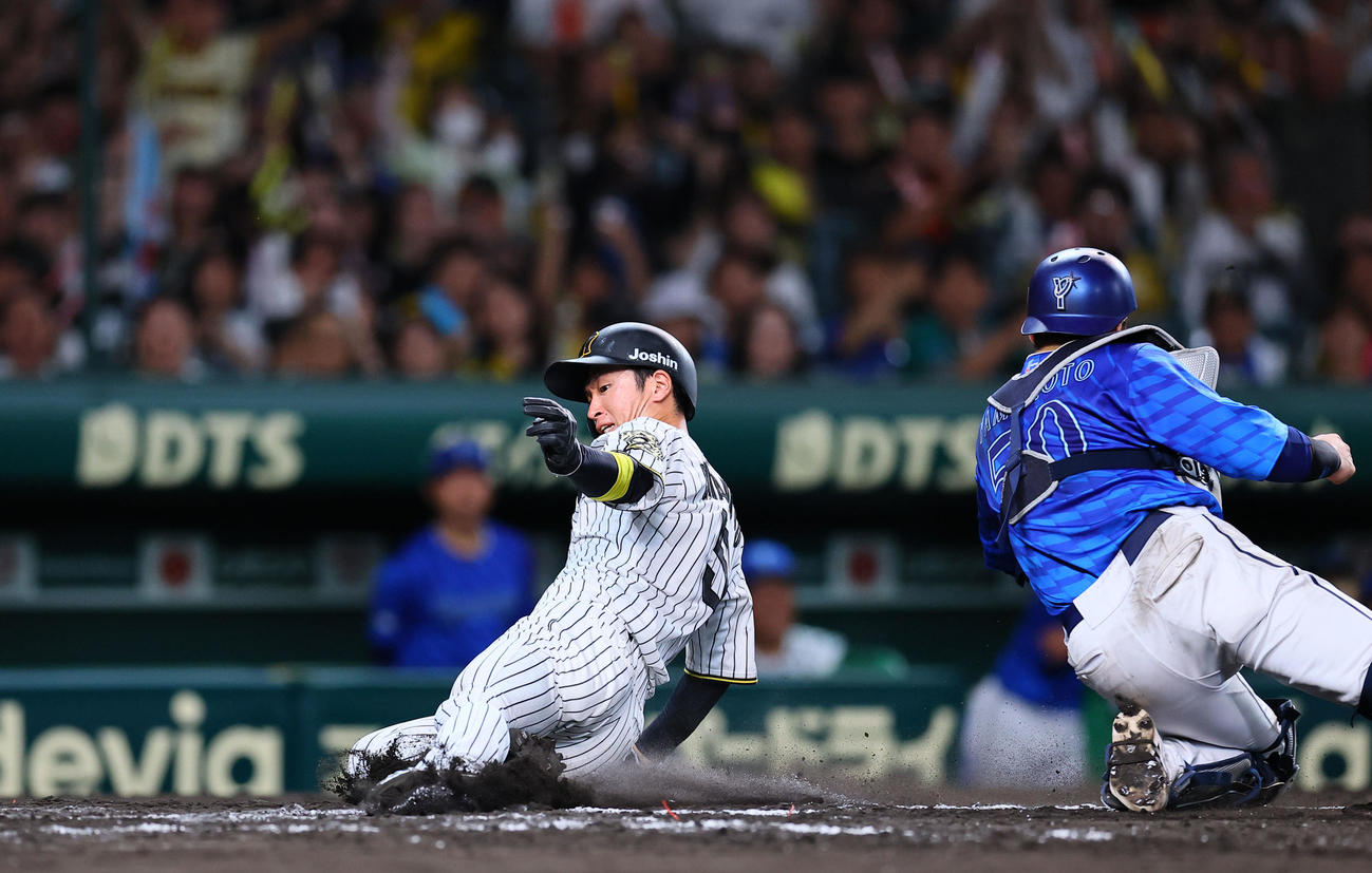 阪神対DeNA 8回裏阪神一、二塁、佐藤輝の右前適時打で生還する近本。捕手山本（撮影・藤尾明華）