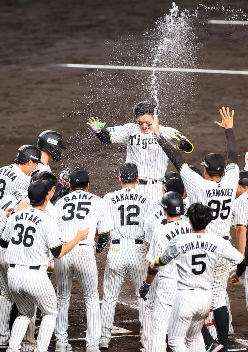 阪神】劇的サヨナラ勝ちで日本S進出へ王手！ 劣勢の8回に佐藤輝が