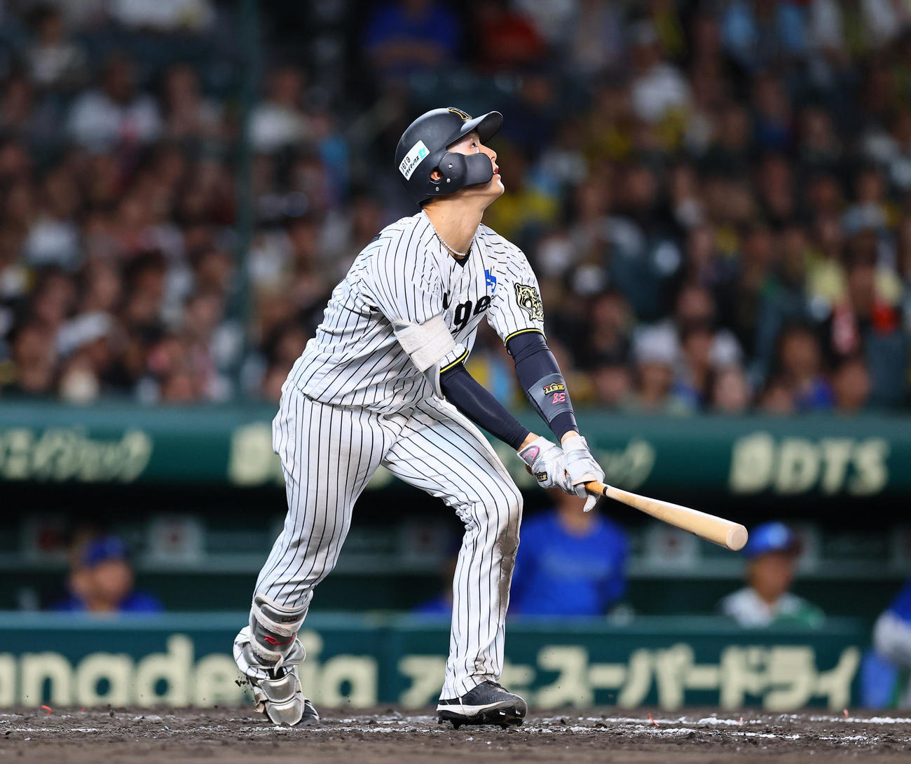 阪神対DeNA 9回裏阪神無死一塁、二飛に倒れる小幡竜（撮影・藤尾明華）