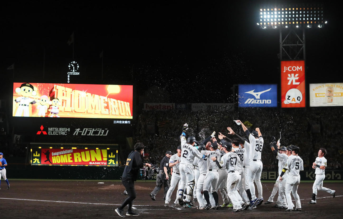 阪神対DeNA 10回裏阪神無死一塁、森下のサヨナラ左越え2点本塁打で盛り上がる阪神ナイン（撮影・上山淳一）