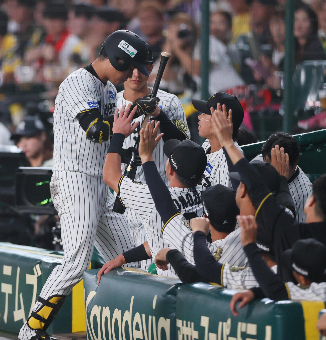 阪神対DeNA 4回裏阪神1死一塁、高橋（左）は送りバントを決めナインの祝福を受ける（撮影・上山淳一）