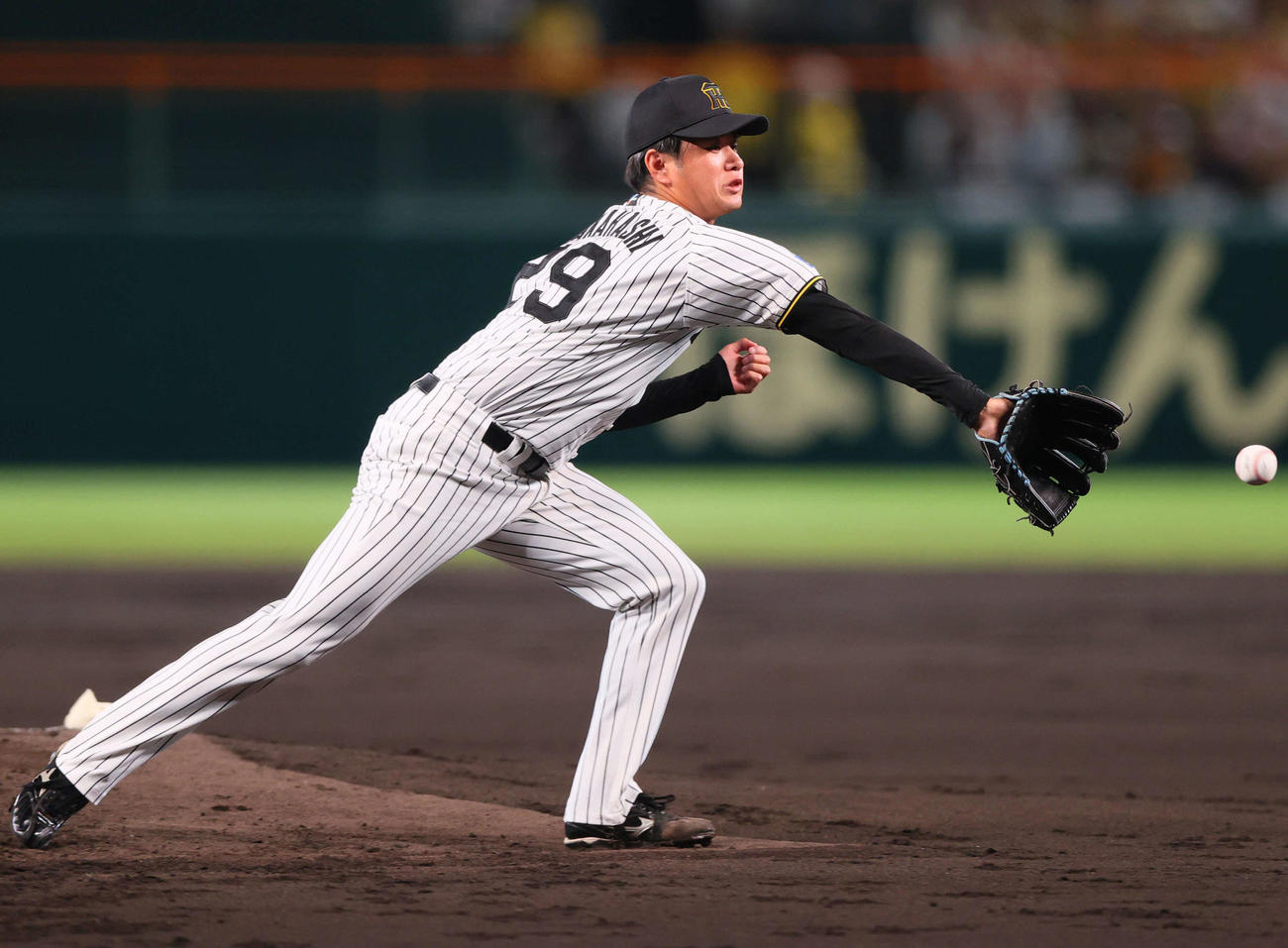 阪神対DeNA 2回表DeNA2死、高橋は林の二ゴロに反応する（撮影・上山淳一）