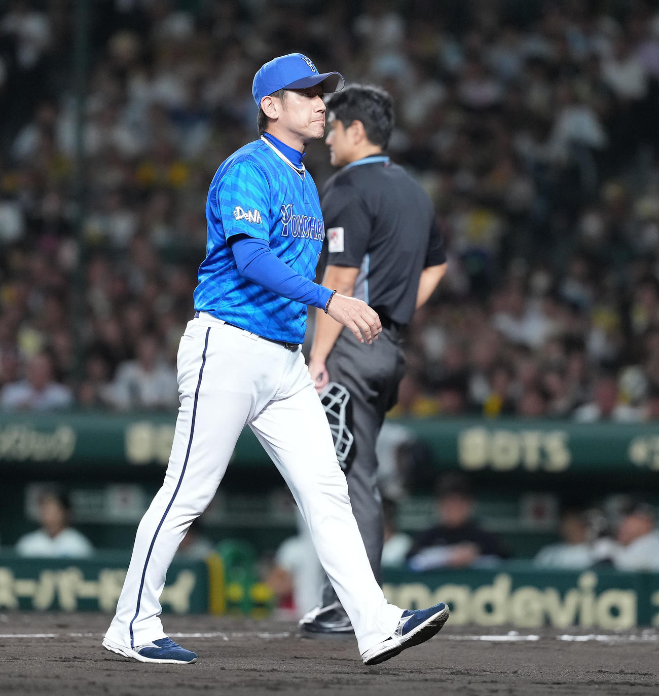 阪神対DeNA 5回途中で先発の先発ケイを降板させ宮城にマウンドを託した三浦監督（撮影・たえ見朱実）