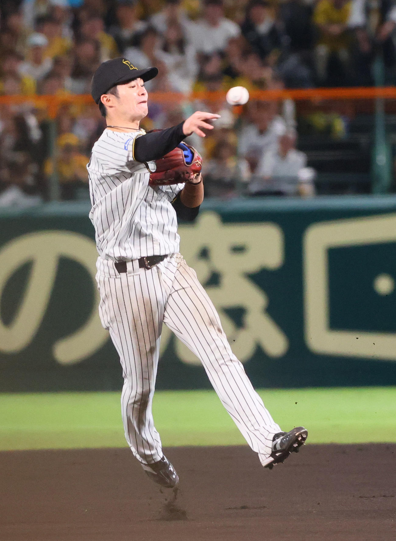 阪神対DeNA 6回表DeNA2死、中野は蝦名を二ゴロに仕留める（撮影・上山淳一）