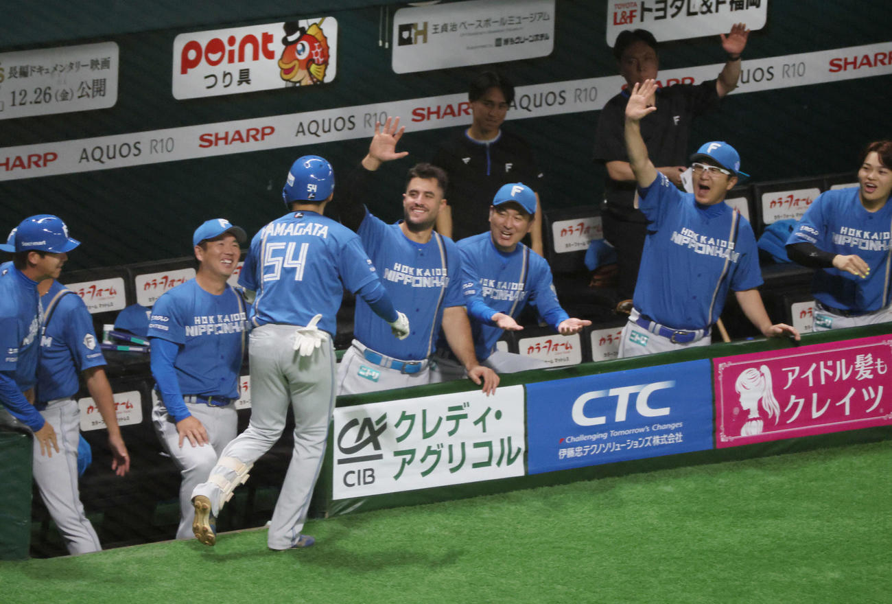 ソフトバンク対日本ハム　7回表日本ハム無死、左越え本塁打を放った山県を迎えるチームメート（撮影・加藤孝規）