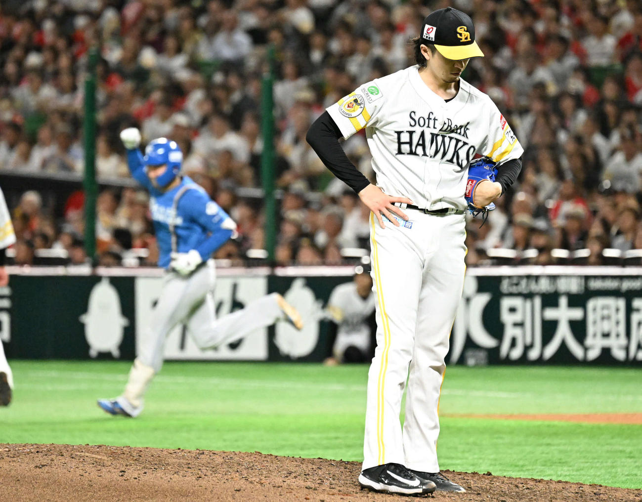 ソフトバンク対日本ハム　7回表日本ハム無死、上沢（右）は山県に本塁打を許す（撮影・林敢治）