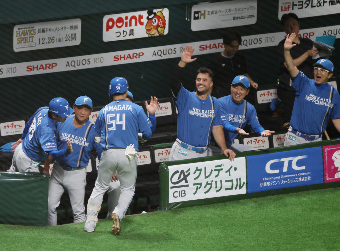 ソフトバンク対日本ハム　7回表日本ハム無死、左越え本塁打を放った山県を迎えるチームメート（撮影・加藤孝規）