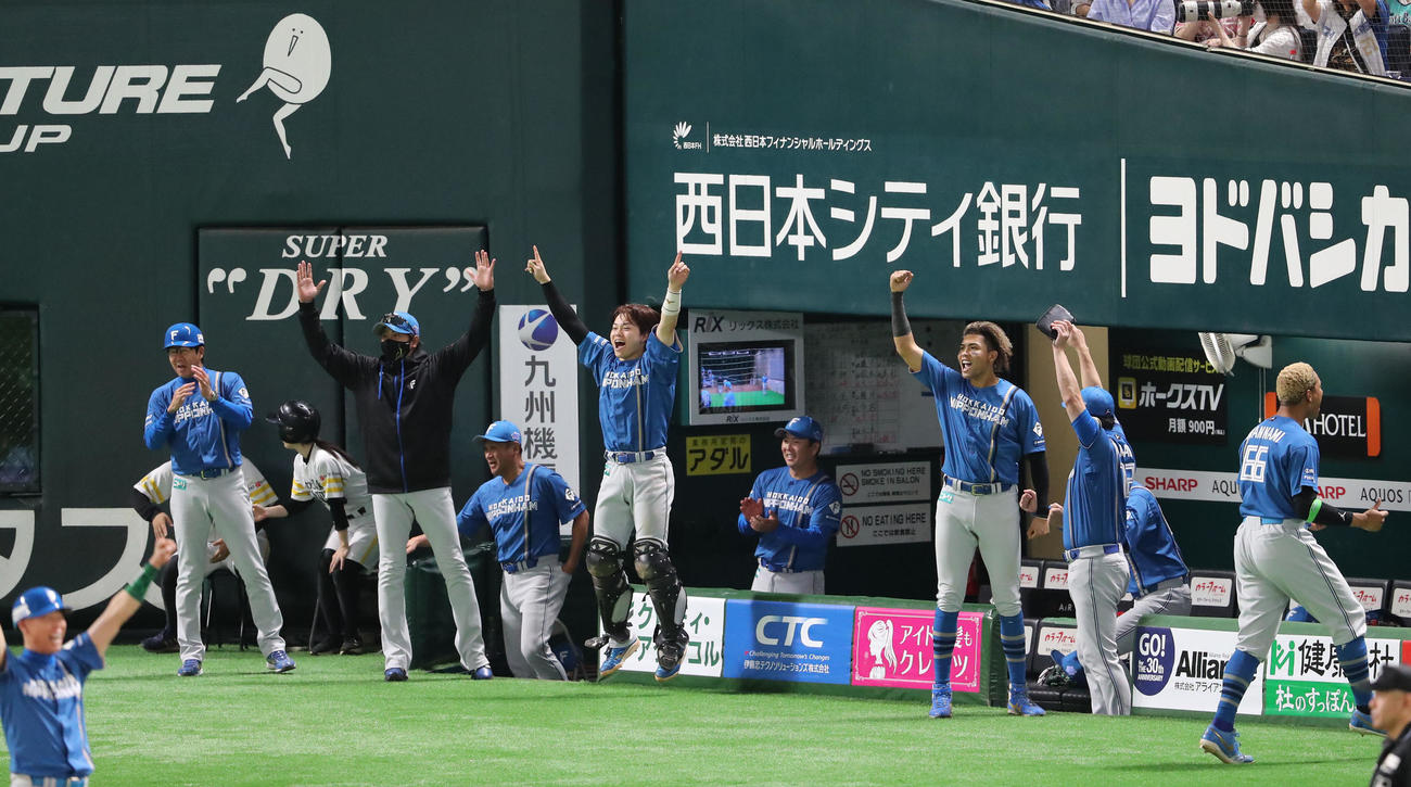 ソフトバンク対日本ハム　6回表日本ハム無死、山県の左越え本塁打で盛り上がるベンチのナインと新庄監督（撮影・梅根麻紀）
