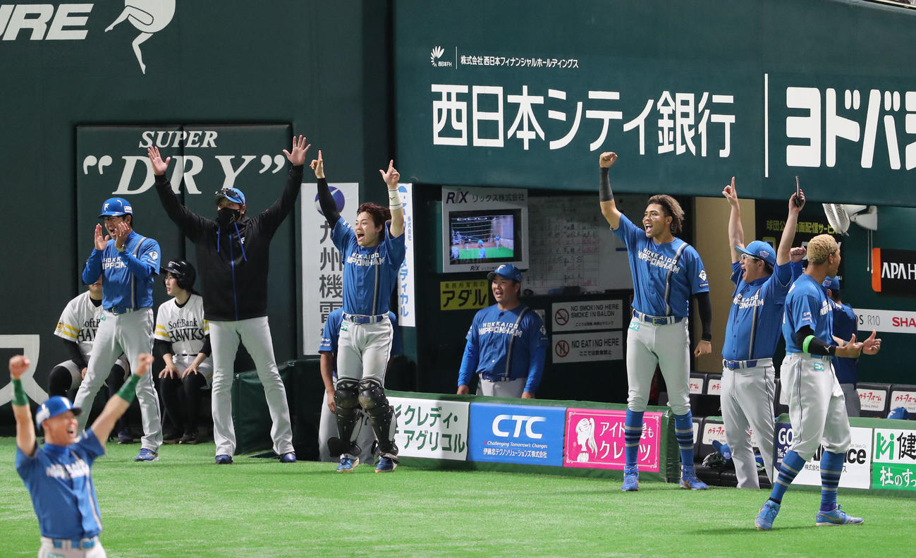ソフトバンク対日本ハム　6回表日本ハム無死、山県の左越え本塁打で盛り上がるベンチのナインと新庄監督（撮影・梅根麻紀）