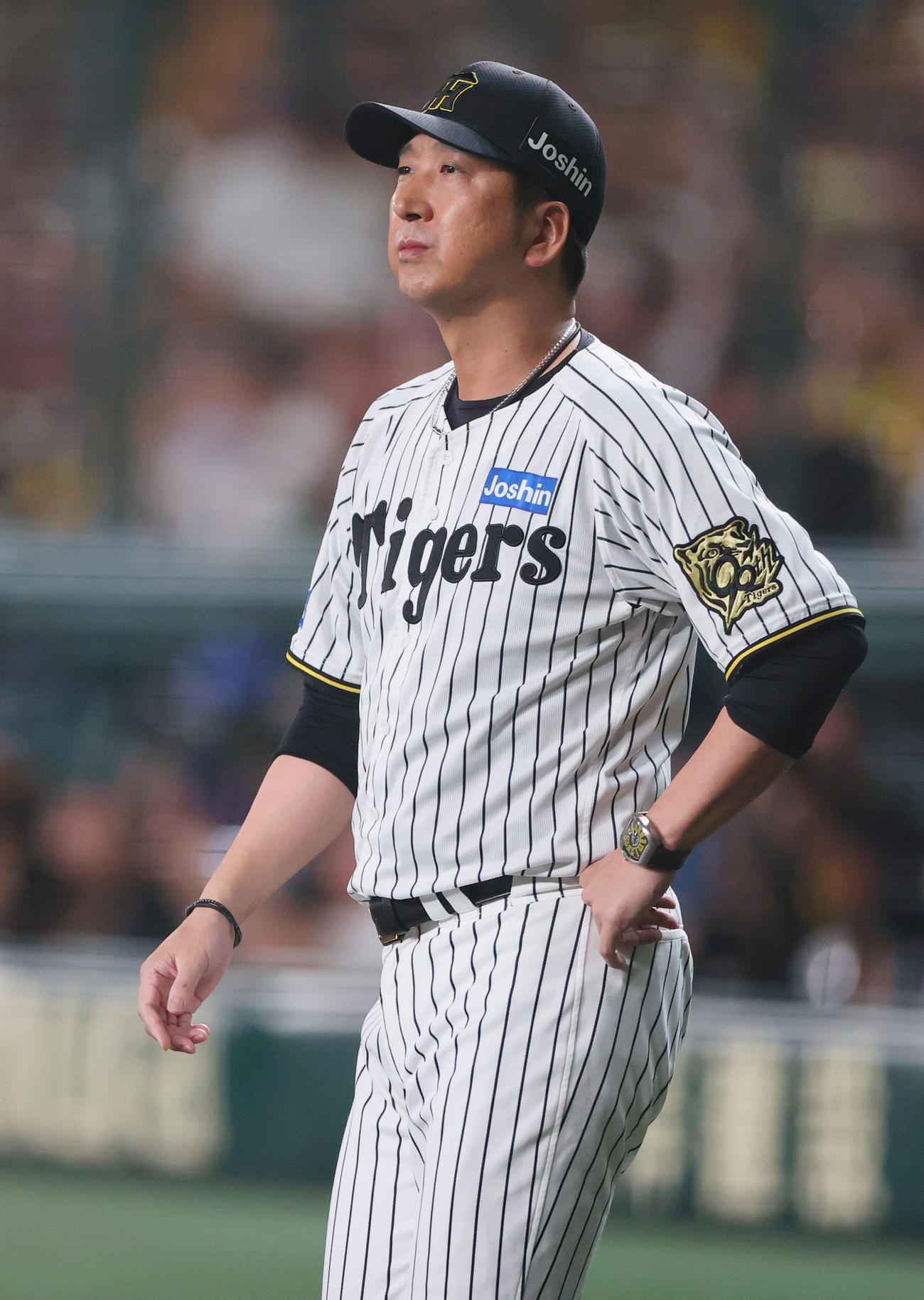 阪神対DeNA 8回表DeNA2死満塁、藤川監督は高橋を交代させる（撮影・上山淳一）