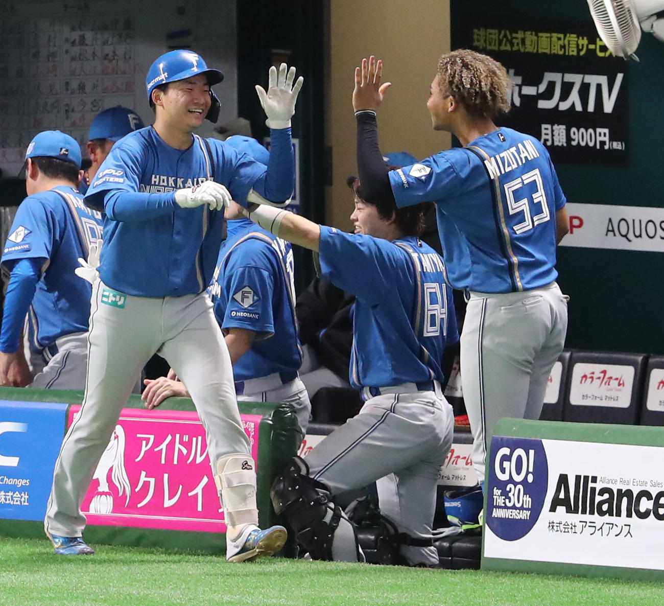 ソフトバンク対日本ハム　6回表日本ハム無死、山県は左越え本塁打を放ちベンチのナインとハイタッチ（撮影・梅根麻紀）