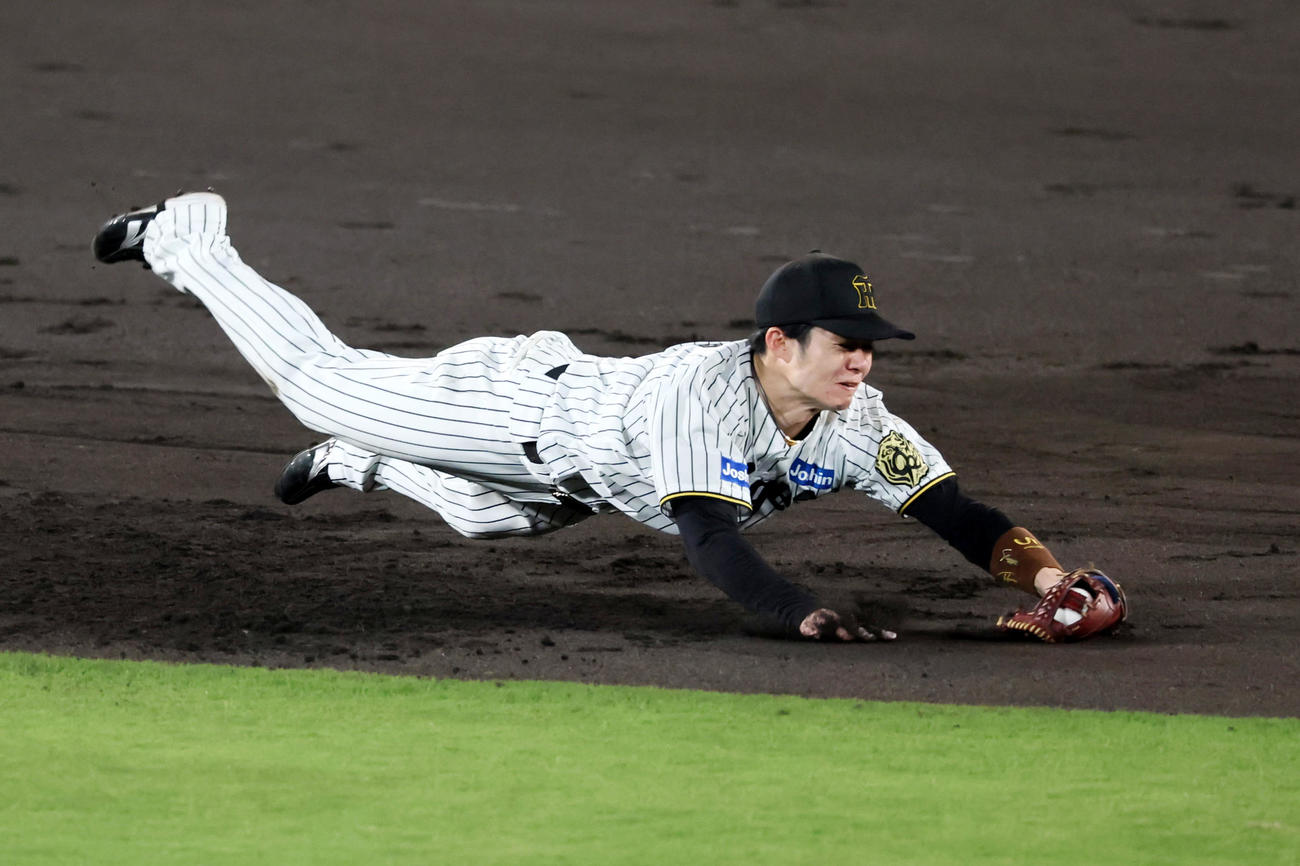 阪神対DeNA 4回表DeNA2死、中野は筒香の打球を横っ跳びで好捕（撮影・加藤哉）