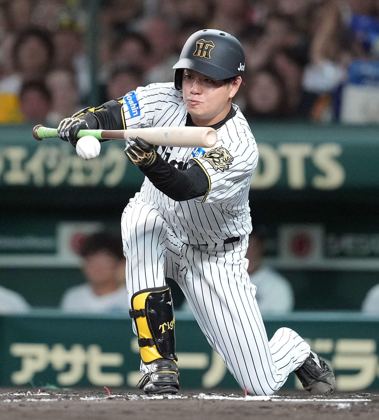 阪神対DeNA 6回裏阪神1死一、二塁、送りバントを決める高橋（撮影・たえ見朱実）