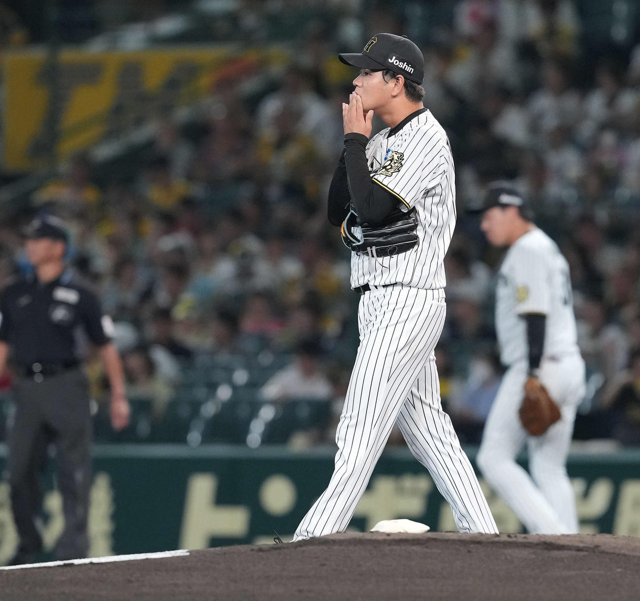 阪神対DeNA　阪神の先発高橋（撮影・たえ見朱実）