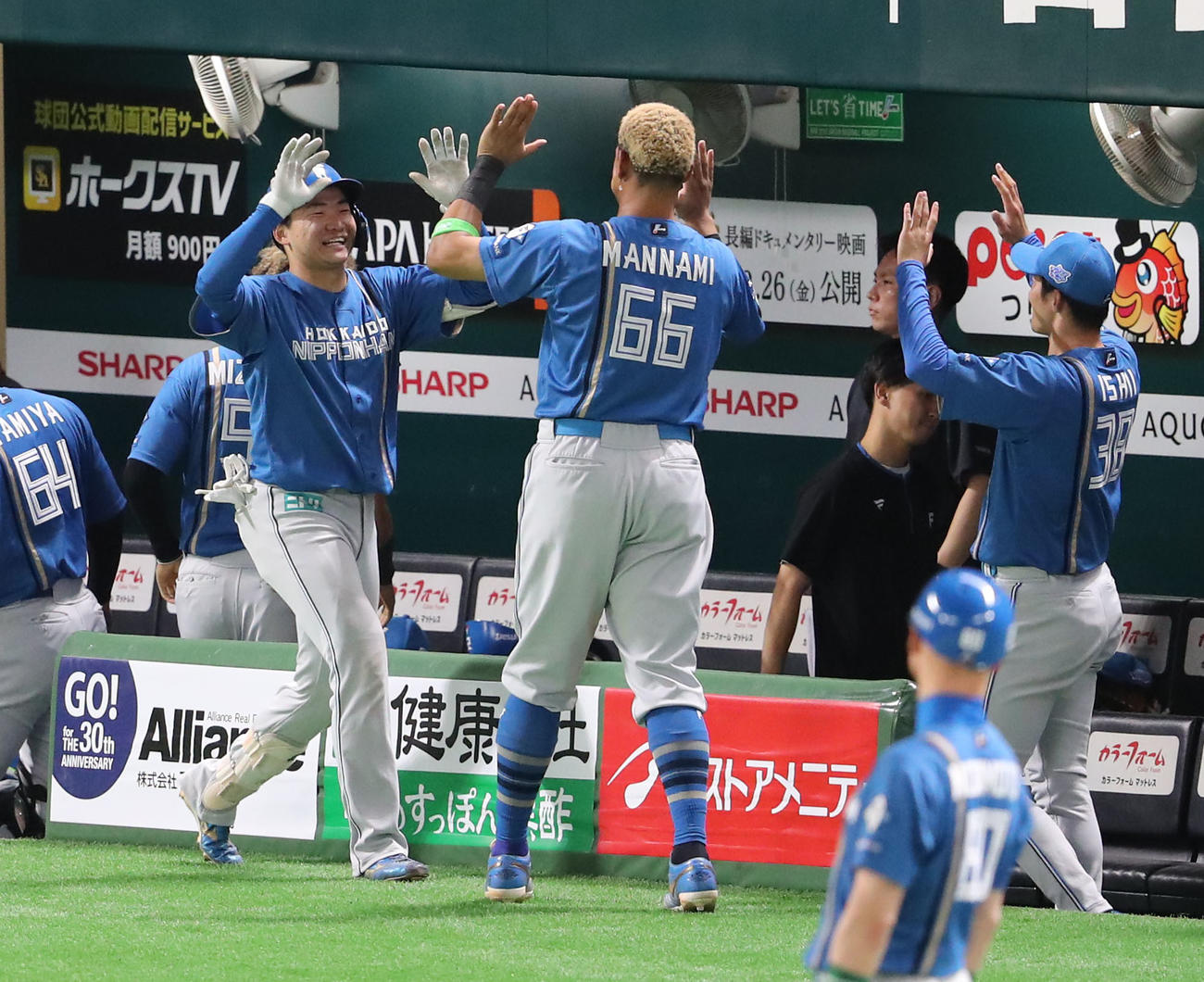 ソフトバンク対日本ハム　6回表日本ハム無死、山県は左越え本塁打を放ちベンチのナインとハイタッチ（撮影・梅根麻紀）