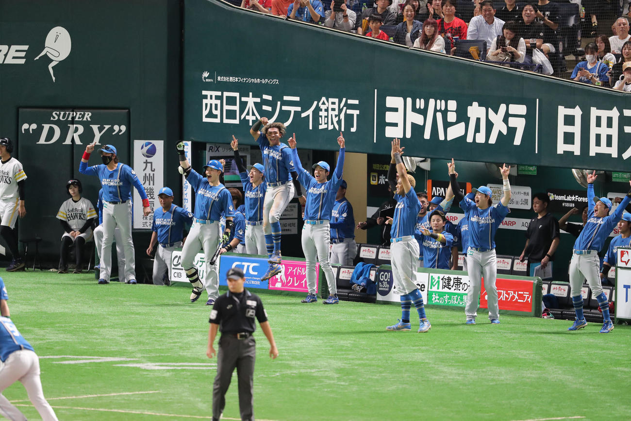 ソフトバンク対日本ハム　3回表日本ハム1死三塁、レイエスの中越え勝ち越し2点本塁打で盛り上がる日本ハムナイン（撮影・梅根麻紀）