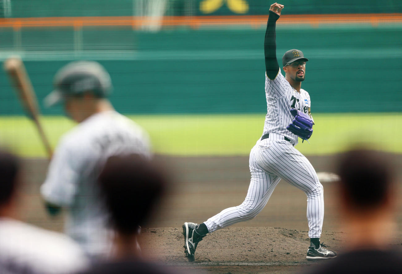 実戦形式で投球するで投球する阪神デュプランティエ（撮影・上山淳一）