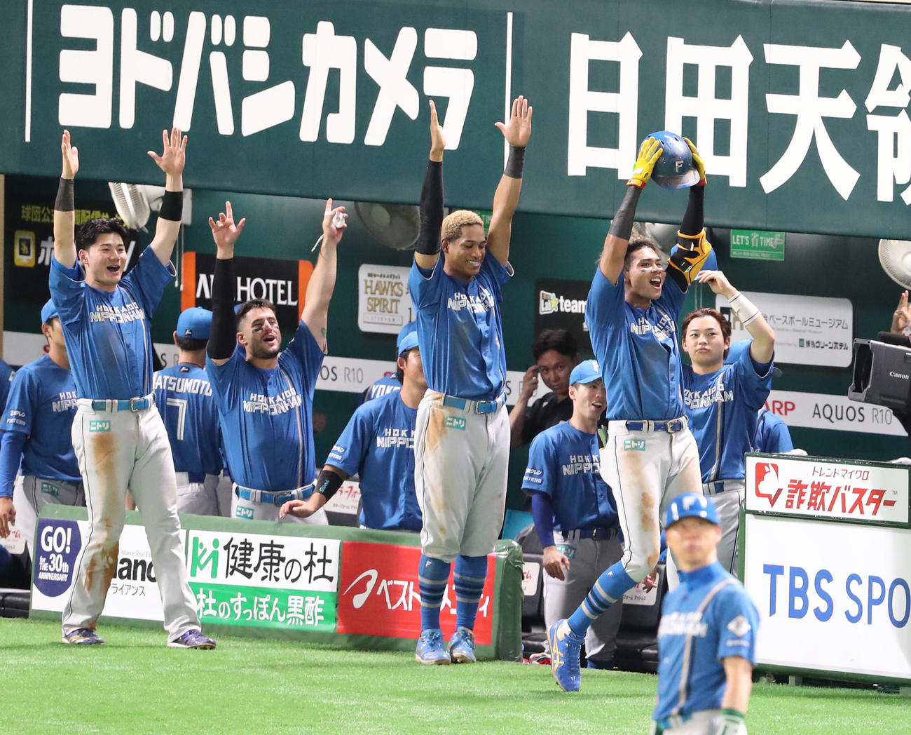 ソフトバンク対日本ハム　4回表日本ハム1死、水谷は右越えに本塁打を放ちベンチ前でパフォーマンス（撮影・梅根麻紀）