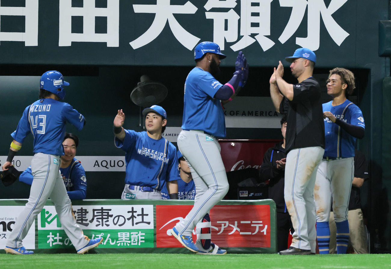 ソフトバンク対日本ハム　7回表日本ハム2死三塁、左越え2点本塁打を放たレイエスを迎えるチームメート（撮影・加藤孝規）