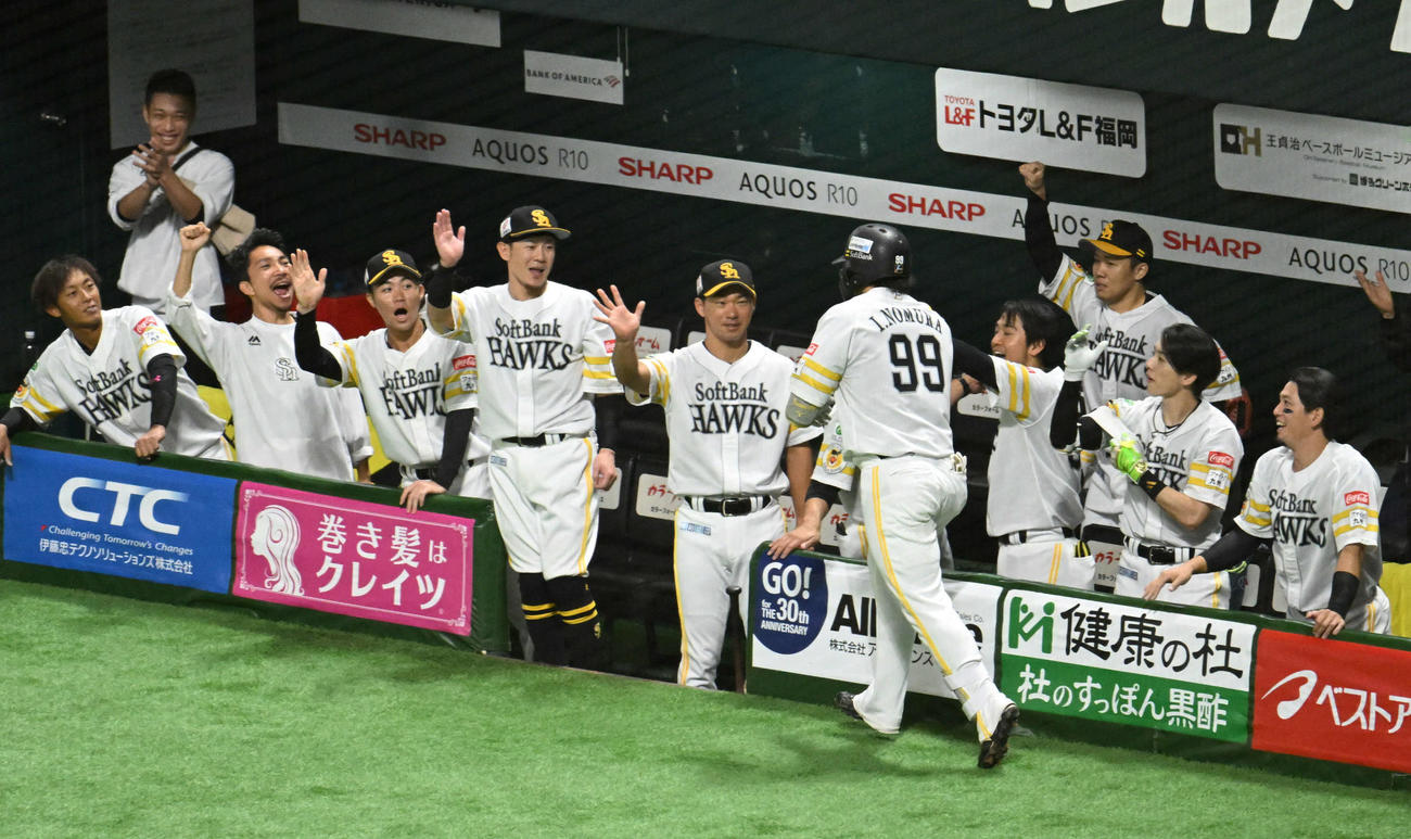 ソフトバンク対日本ハム　3回裏ソフトバンク無死、野村（右から5番目）は本塁打を放ちナインとタッチを交わす（撮影・林敢治）