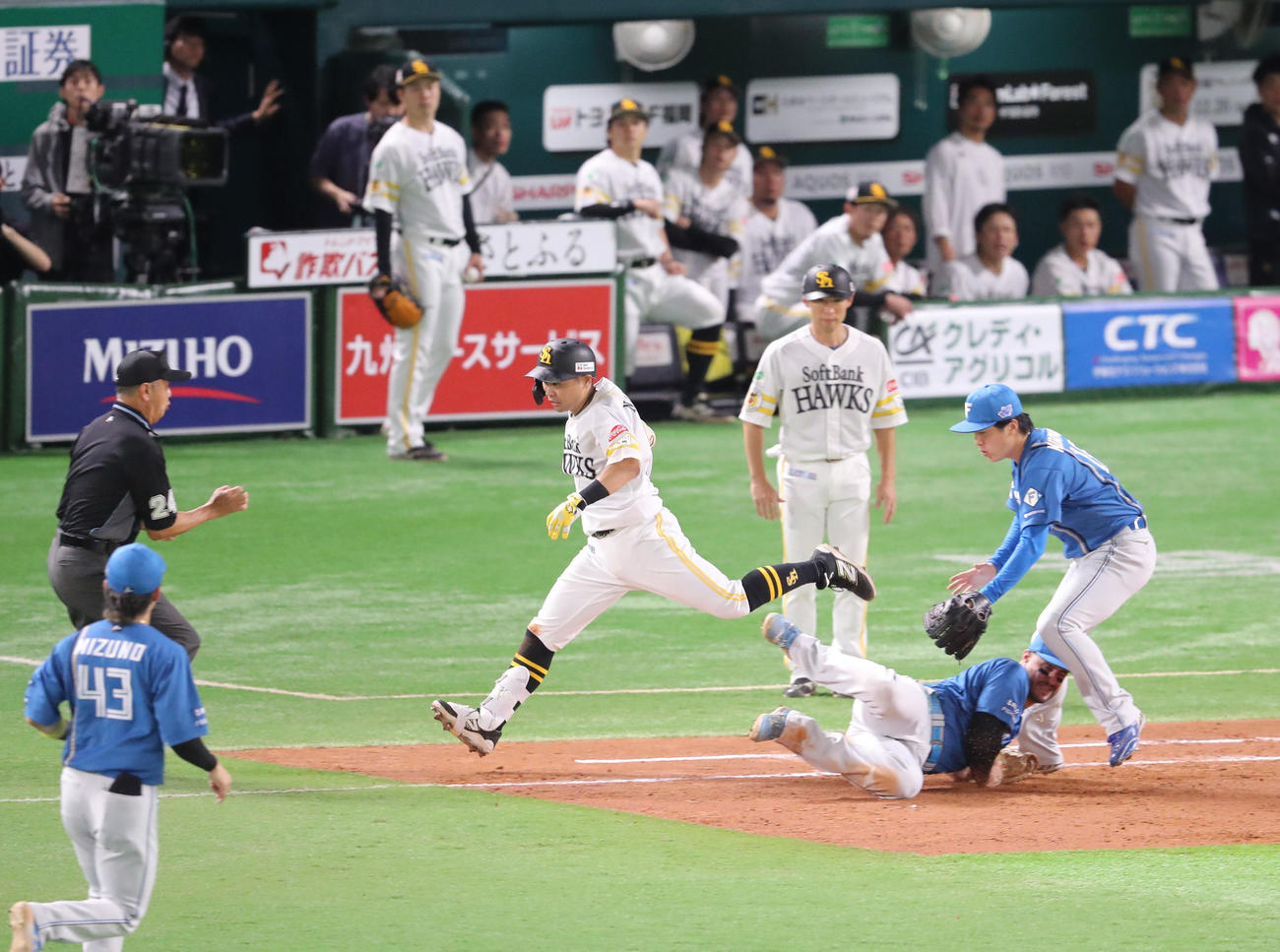 ソフトバンク対日本ハム　3回裏ソフトバンク2死一塁、中村は一ゴロに終わる、走塁時に塁審と接触し倒れ込む（撮影・梅根麻紀）