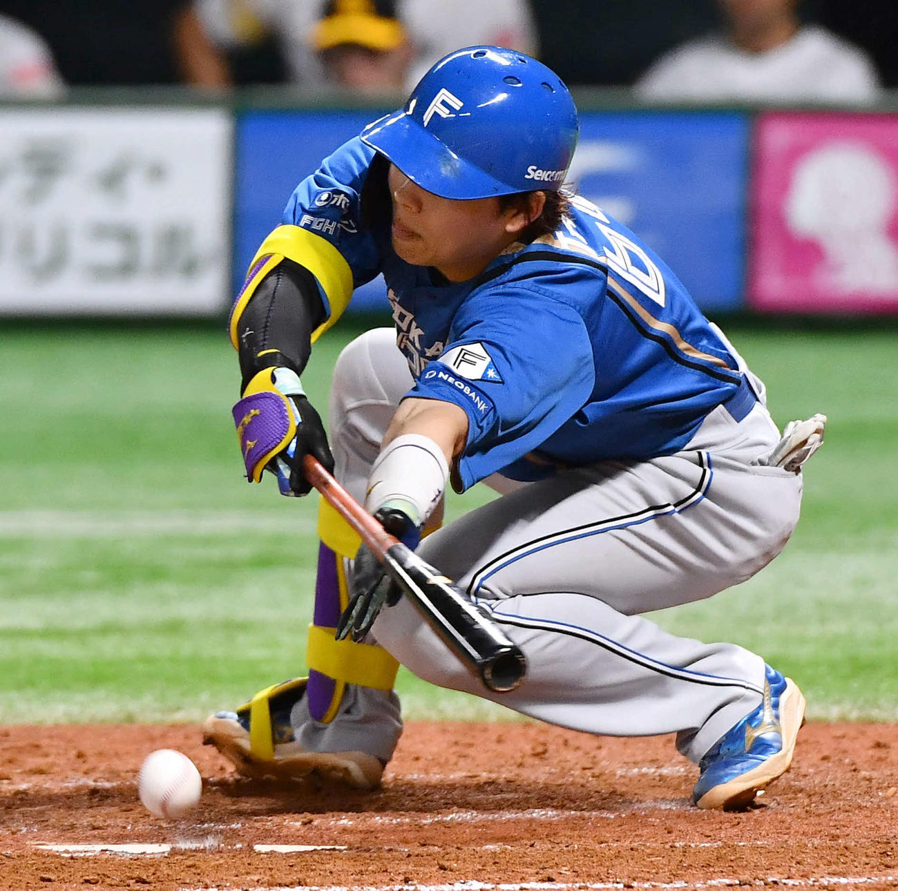 ソフトバンク対日本ハム　5回表日本ハム1死二、三塁、田宮は投前へスクイズを成功させる（撮影・岩下翔太）