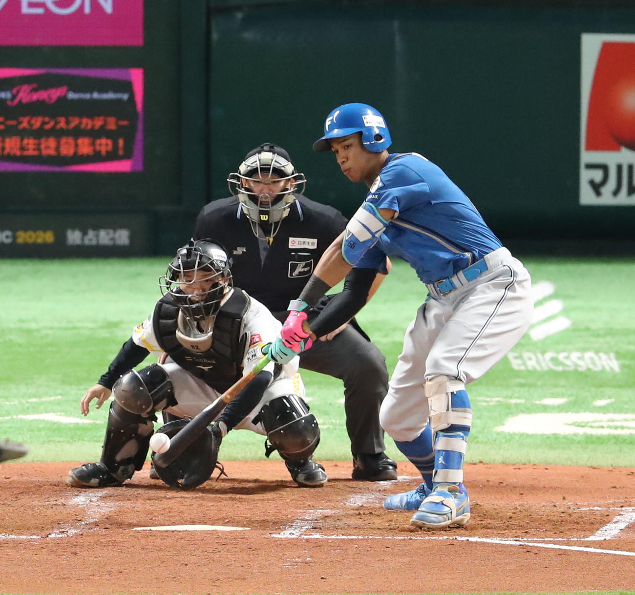 ソフトバンク対日本ハム　4回裏ソフトバンク2死一塁、万波は左前安打を放つ（撮影・梅根麻紀）