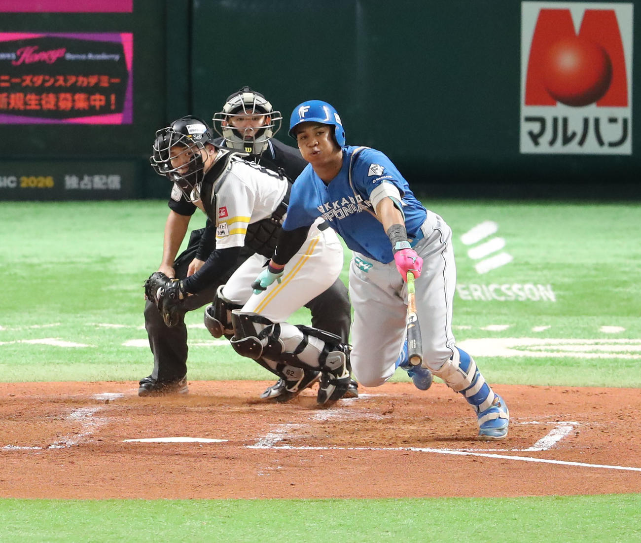 ソフトバンク対日本ハム　4回裏ソフトバンク2死一塁、万波は左前安打を放つ（撮影・梅根麻紀）