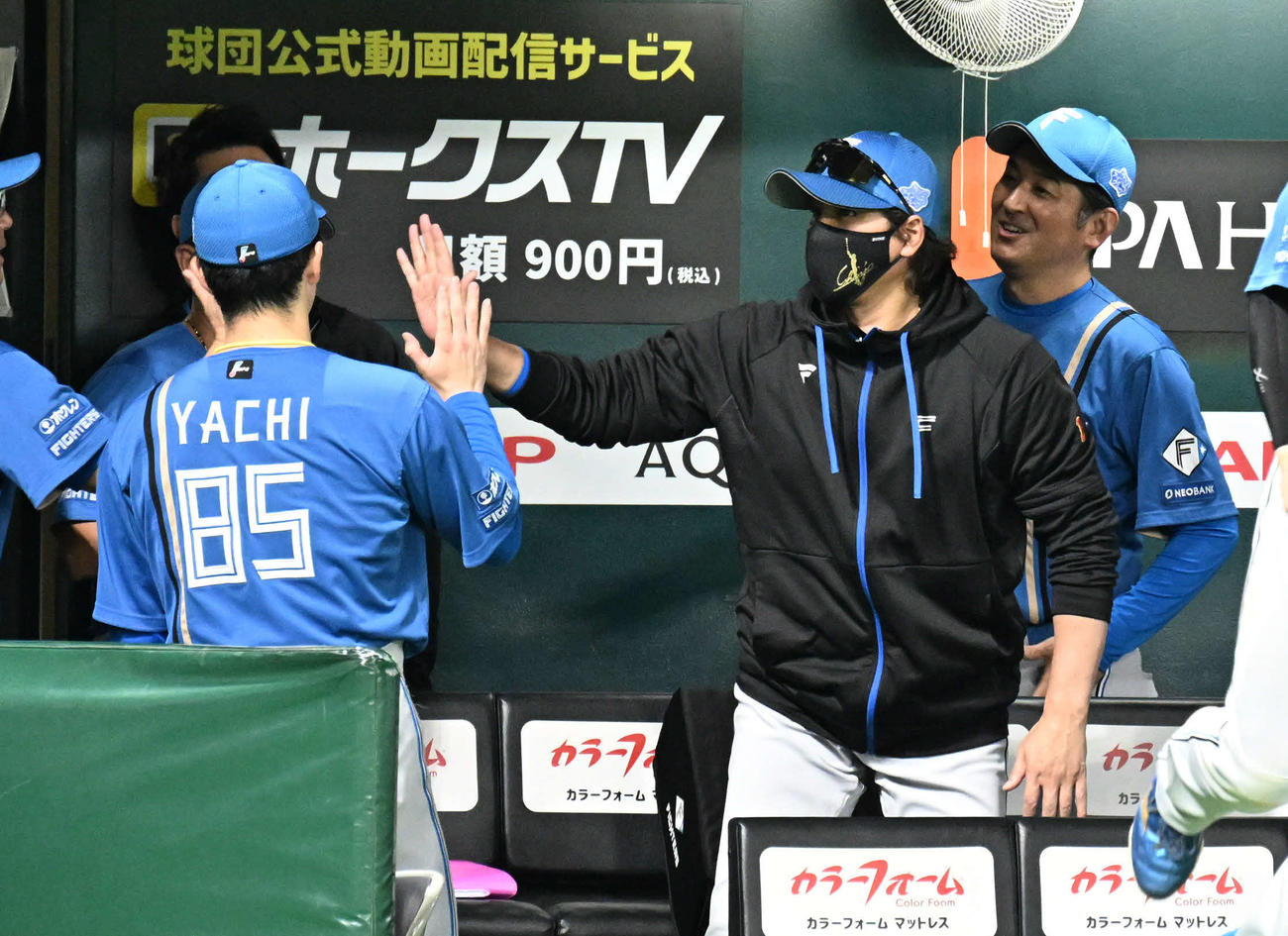 ソフトバンク対日本ハム　ソフトバンクに3連勝しタッチを交わす新庄監督（中央）（撮影・林敢治）