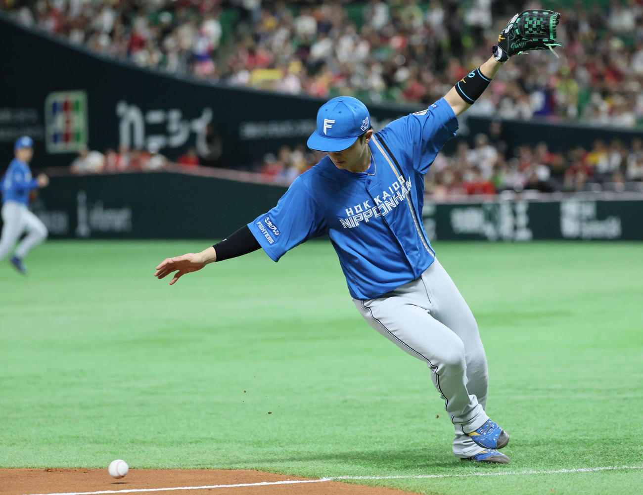 ソフトバンク対日本ハム　3回裏ソフトバンク1死、海野の打球の行方を見てしまった郡司（撮影・加藤孝規）