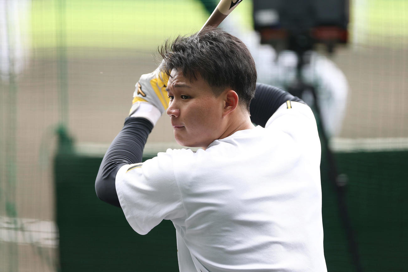 ティー打撃を行う阪神森下（撮影・前田充）