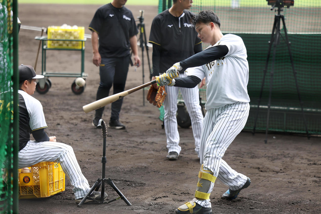 ティー打撃を行う阪神森下（撮影・前田充）