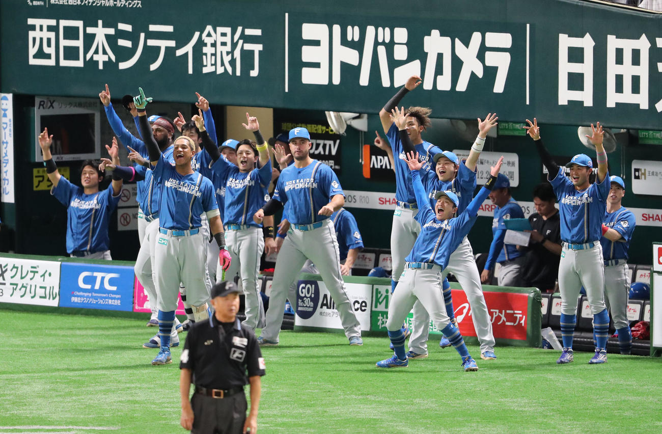 ソフトバンク対日本ハム　4回表日本ハム1死二塁、郡司の左線同点適時二塁打に、ベンチを飛び出し盛り上がる日本ハムナイン（撮影・梅根麻紀）