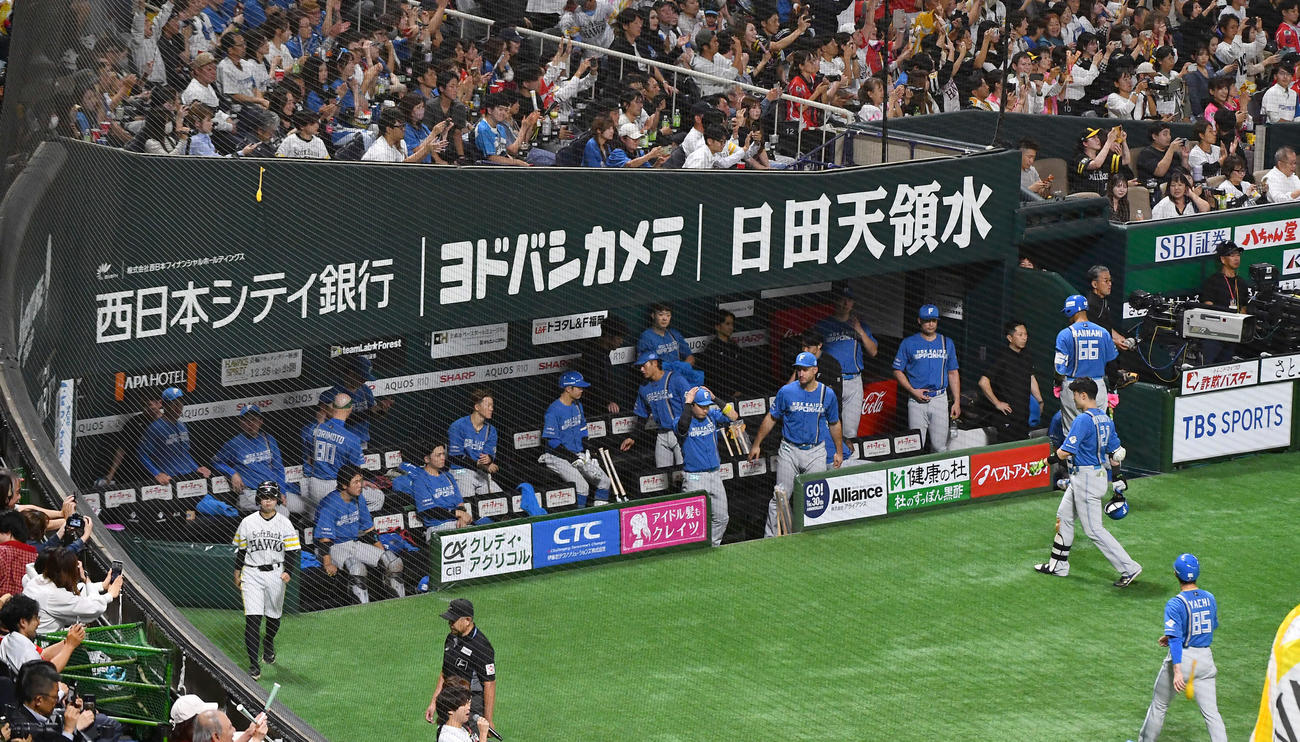 ソフトバンク対日本ハム　1点及ばず敗れベンチで肩を落とす日本ハムナイン（撮影・岩下翔太）