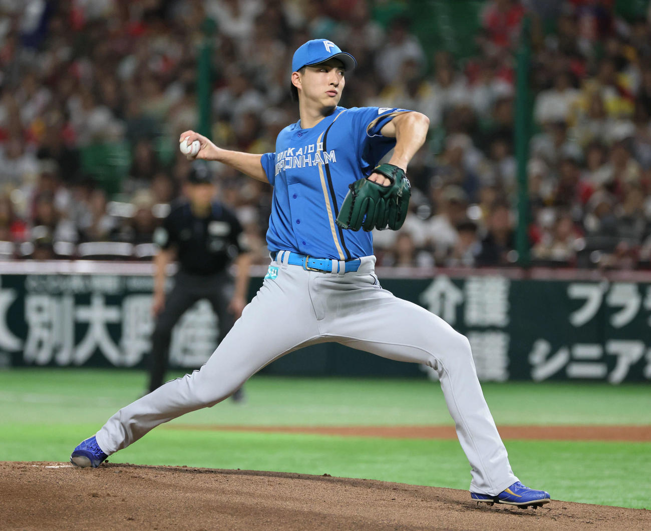 ソフトバンク対日本ハム　日本ハム先発の達（撮影・加藤孝規）