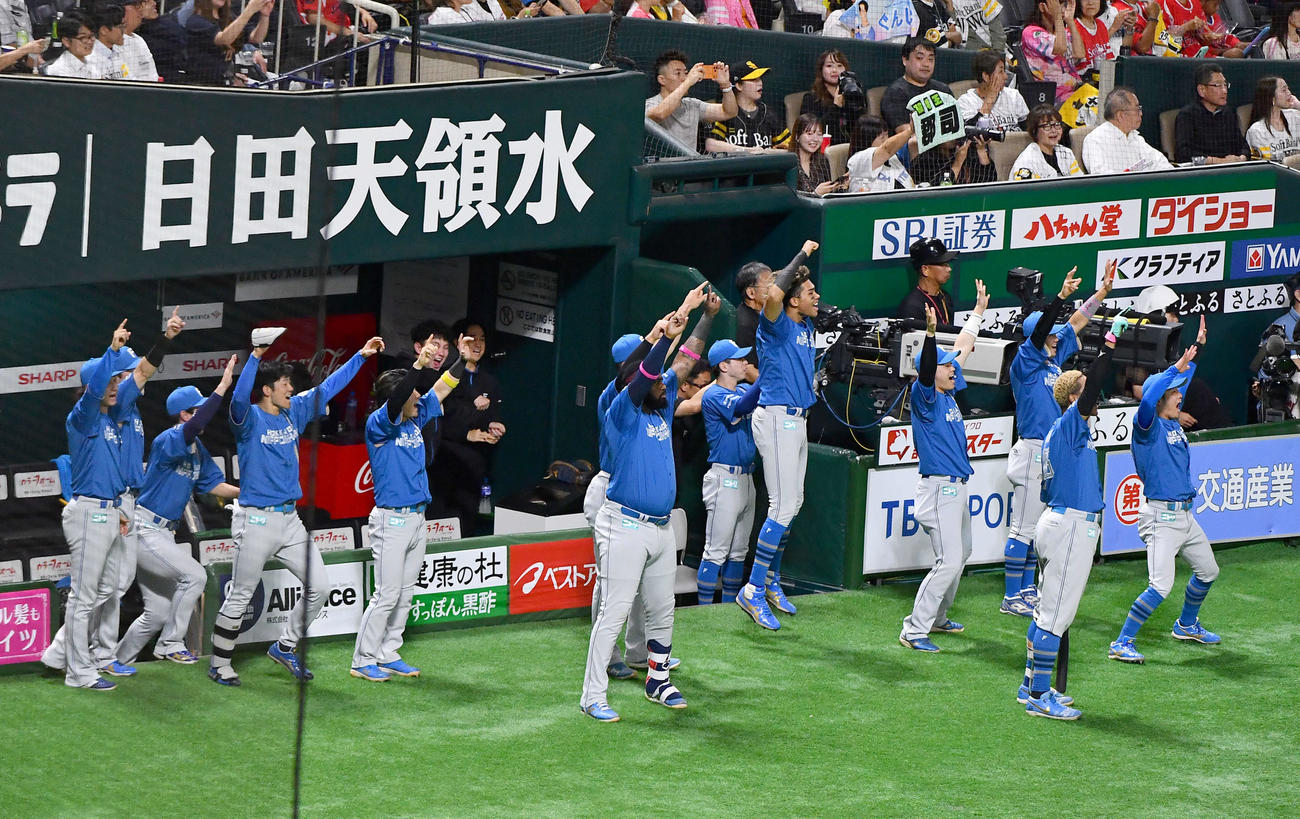ソフトバンク対日本ハム　4回表日本ハム1死二塁、郡司の左線同点適時二塁打でベンチを飛び出し盛り上がる日本ハムナイン（撮影・岩下翔太）
