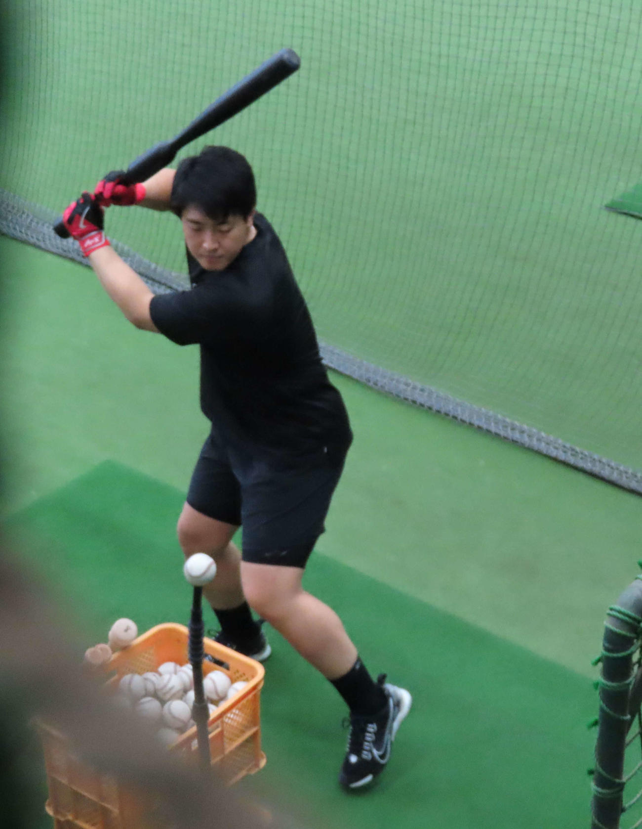 打撃練習をする巨人岡本（撮影・水谷京裕）