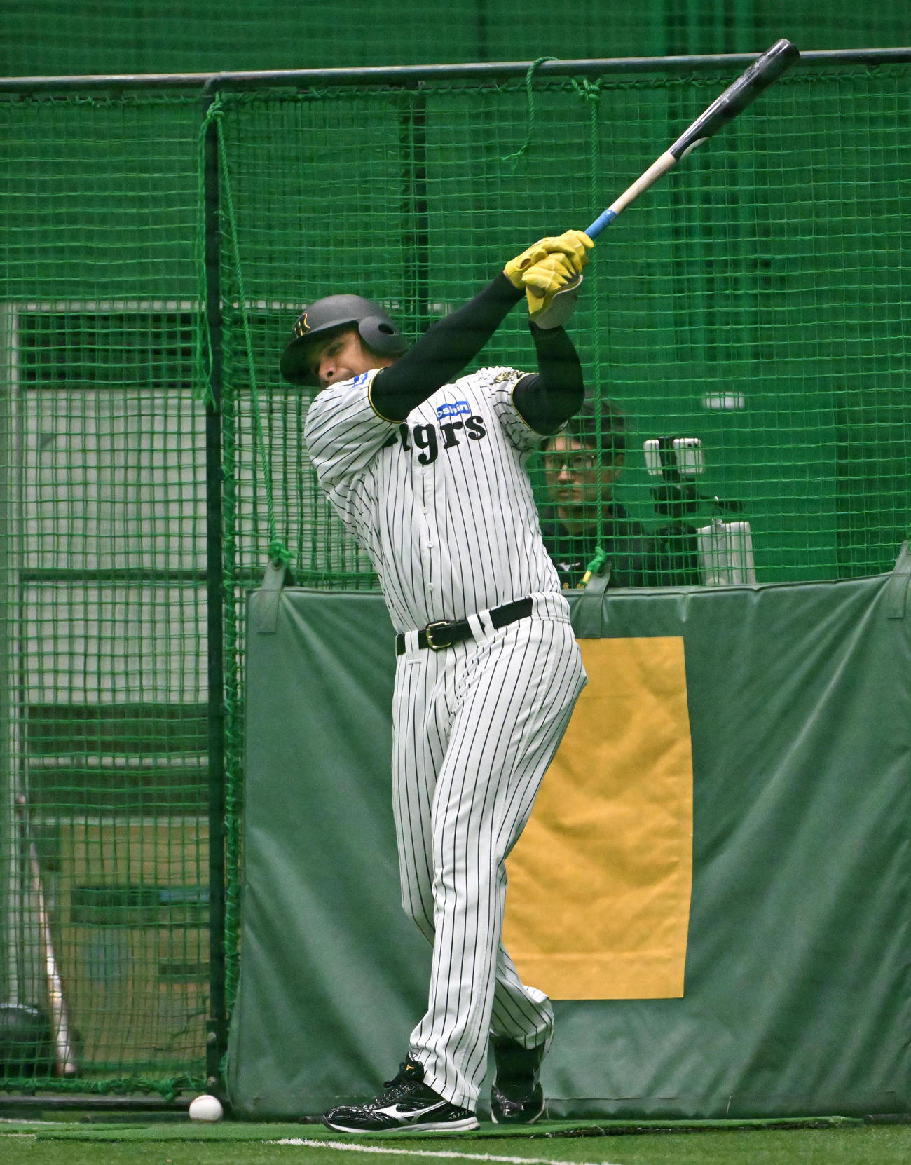 打撃練習をする阪神ヘルナンデス（撮影・石井愛子）