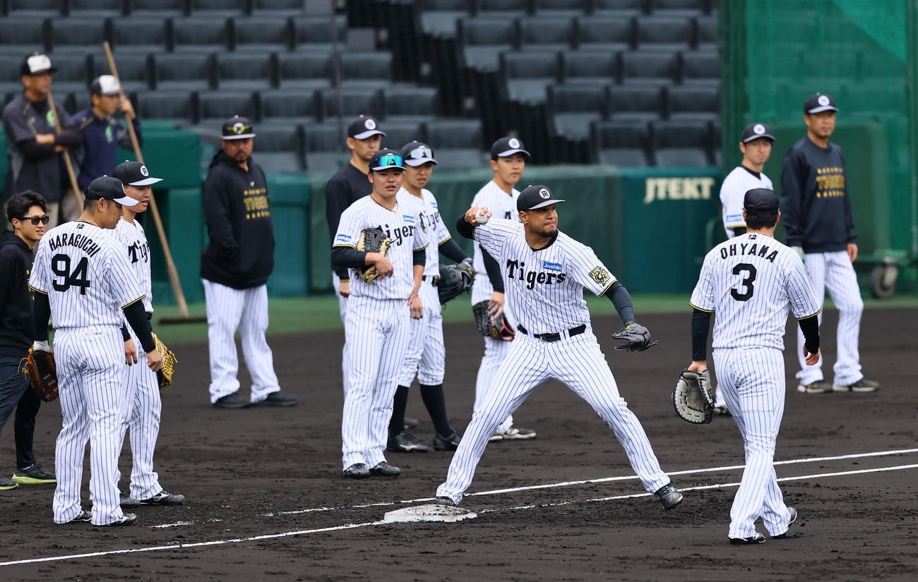 シートノックで一塁守備をする阪神ヘルナンデス（手前右から2人目）（撮影・藤尾明華）